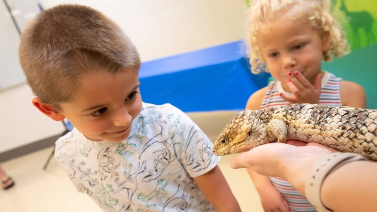 Columbus Zoo Animal Ambassadors