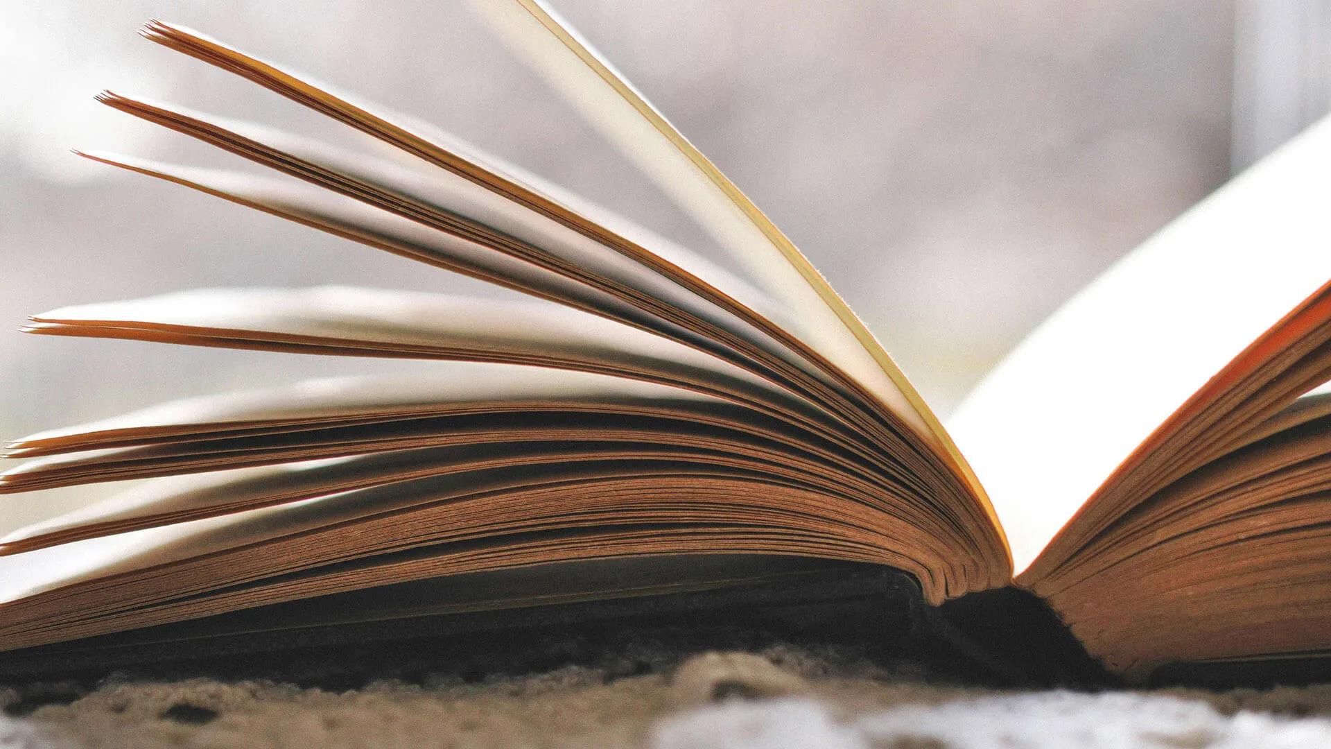 An open book with numerous fanned, warm-toned pages, creating a layered texture.