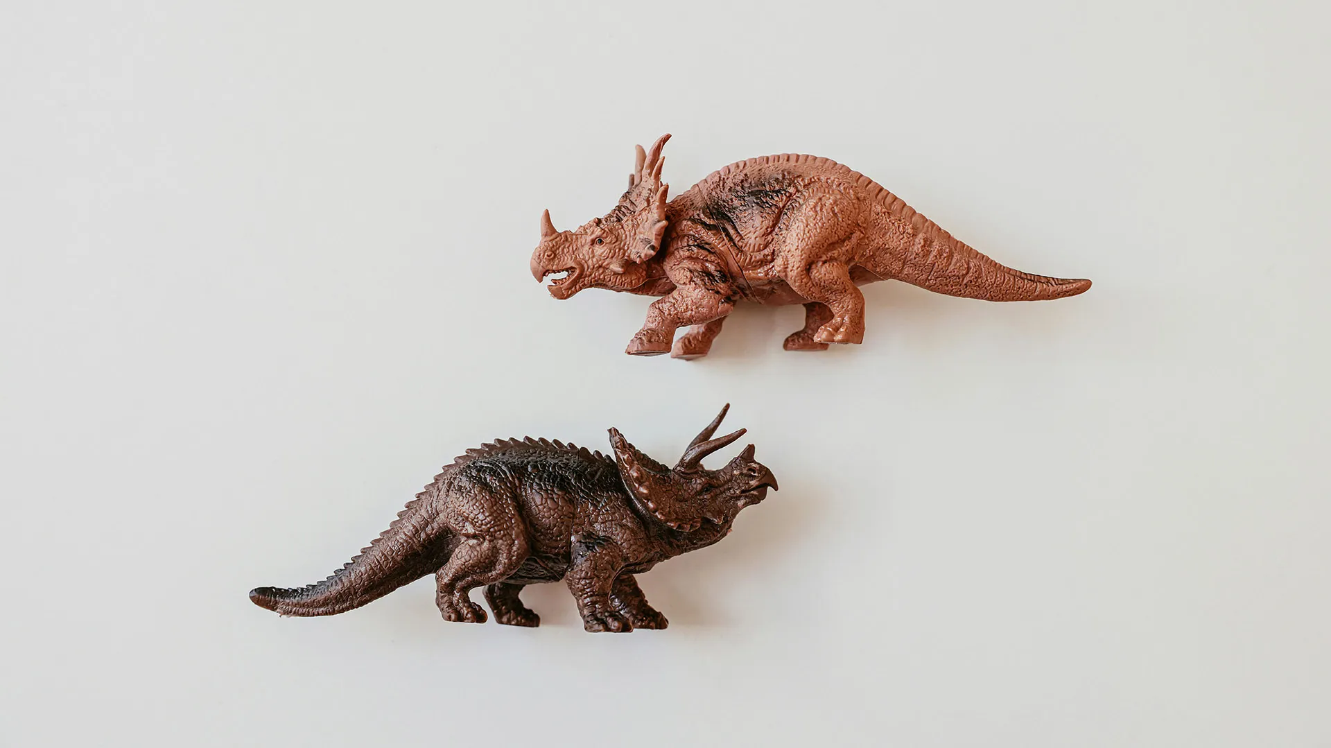 Light brown and dark brown Triceratops dinosaur toys on a white background.