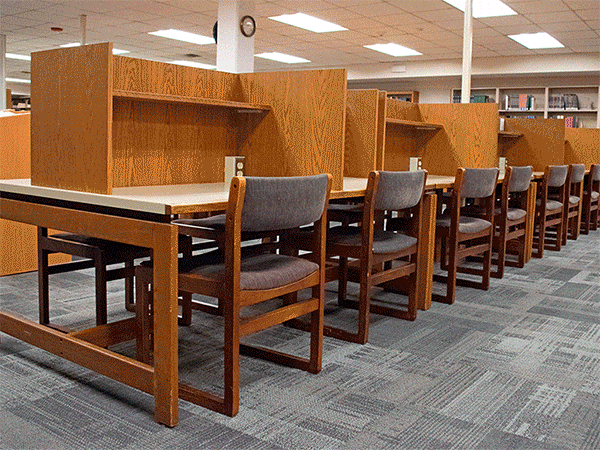 Overview of different study and reading spaces at the Tremont Road Branch