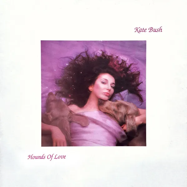 Kate Bush with wild hair on a purple background, two hounds snuggling her. Hounds Of Love cover.
