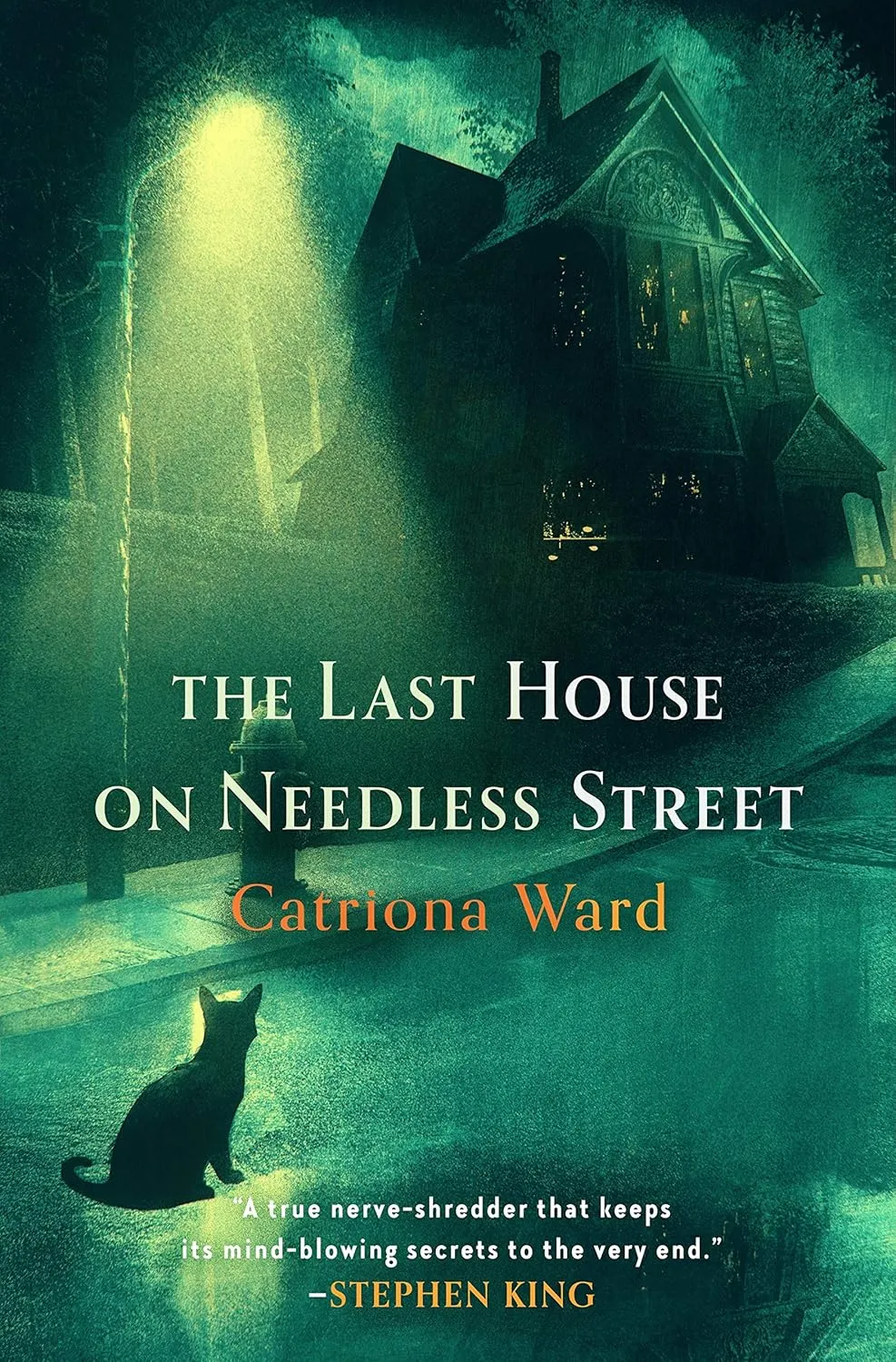 Cover image for "The Last House on Needless Street" by C Ward