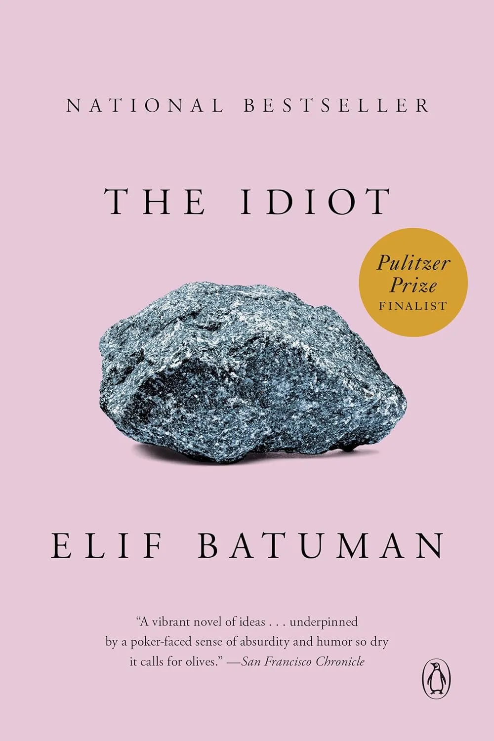 Cover image for "The Idiot" by E Batuman