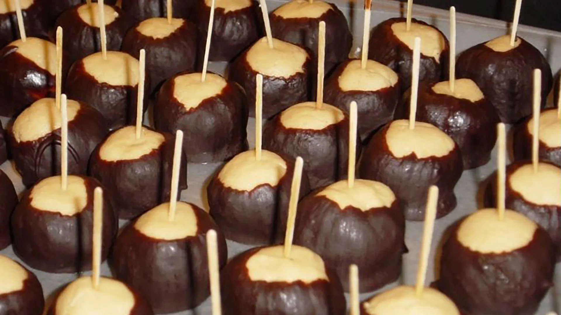 A tray of buckeye candies, each with a creamy peanut butter center and dark chocolate coating.