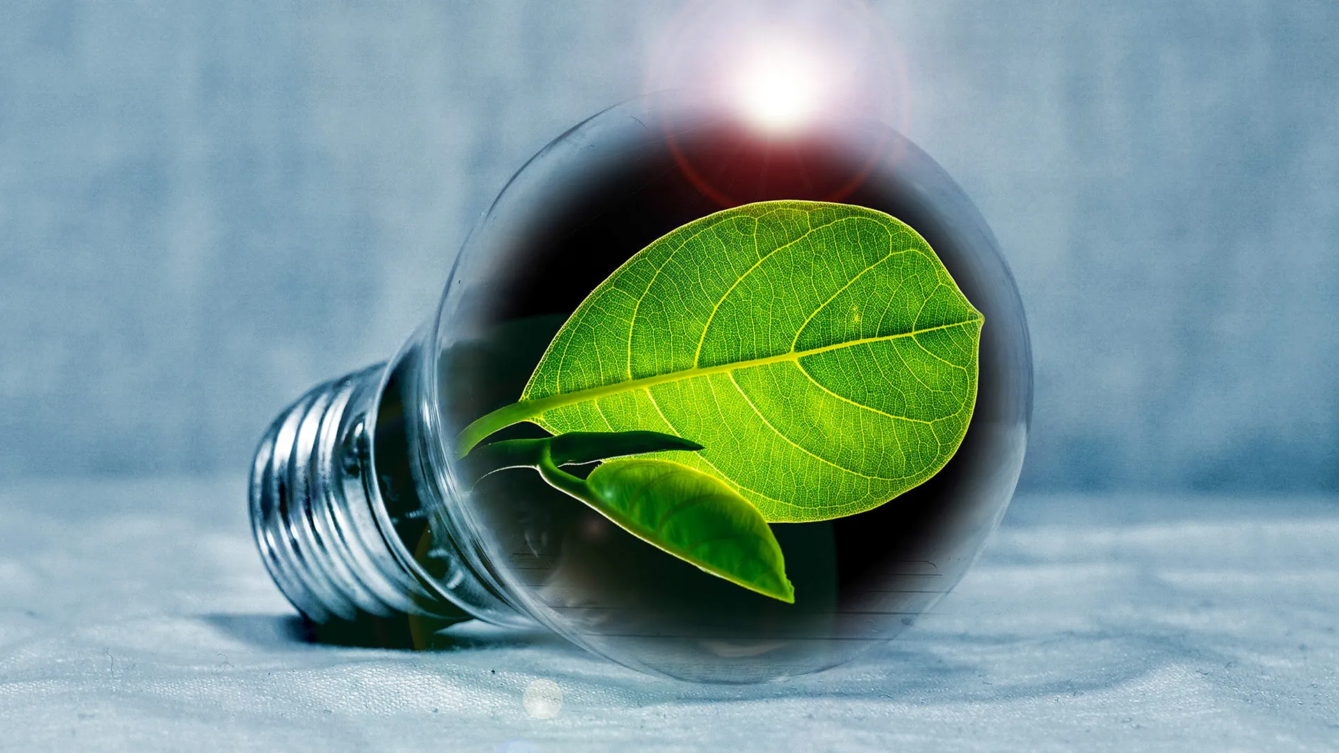 A glowing green leaf inside a glass light bulb, representing eco-friendly energy.