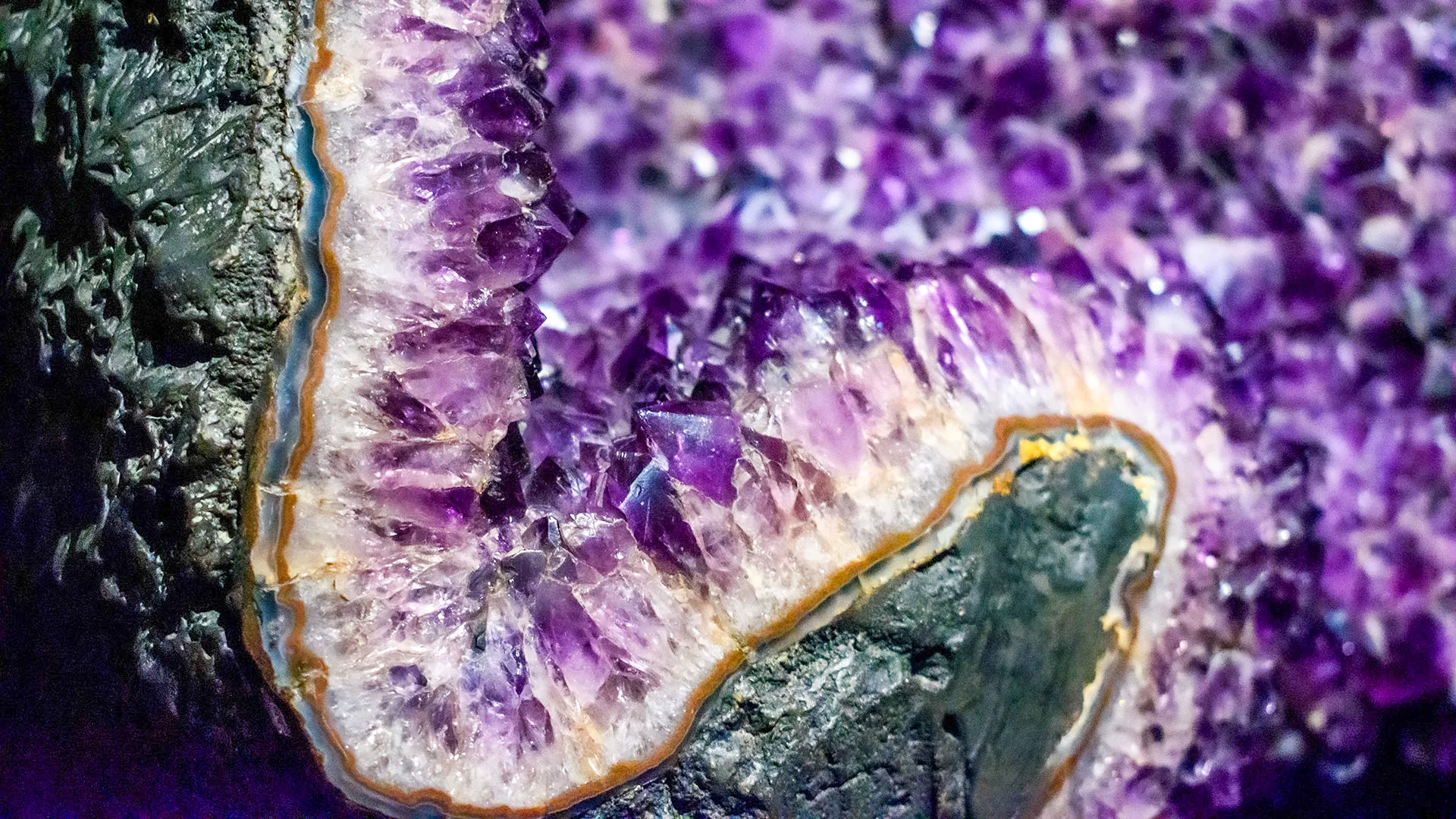 Close-up of a vibrant purple amethyst geode with crystalline layers embedded in dark rock.