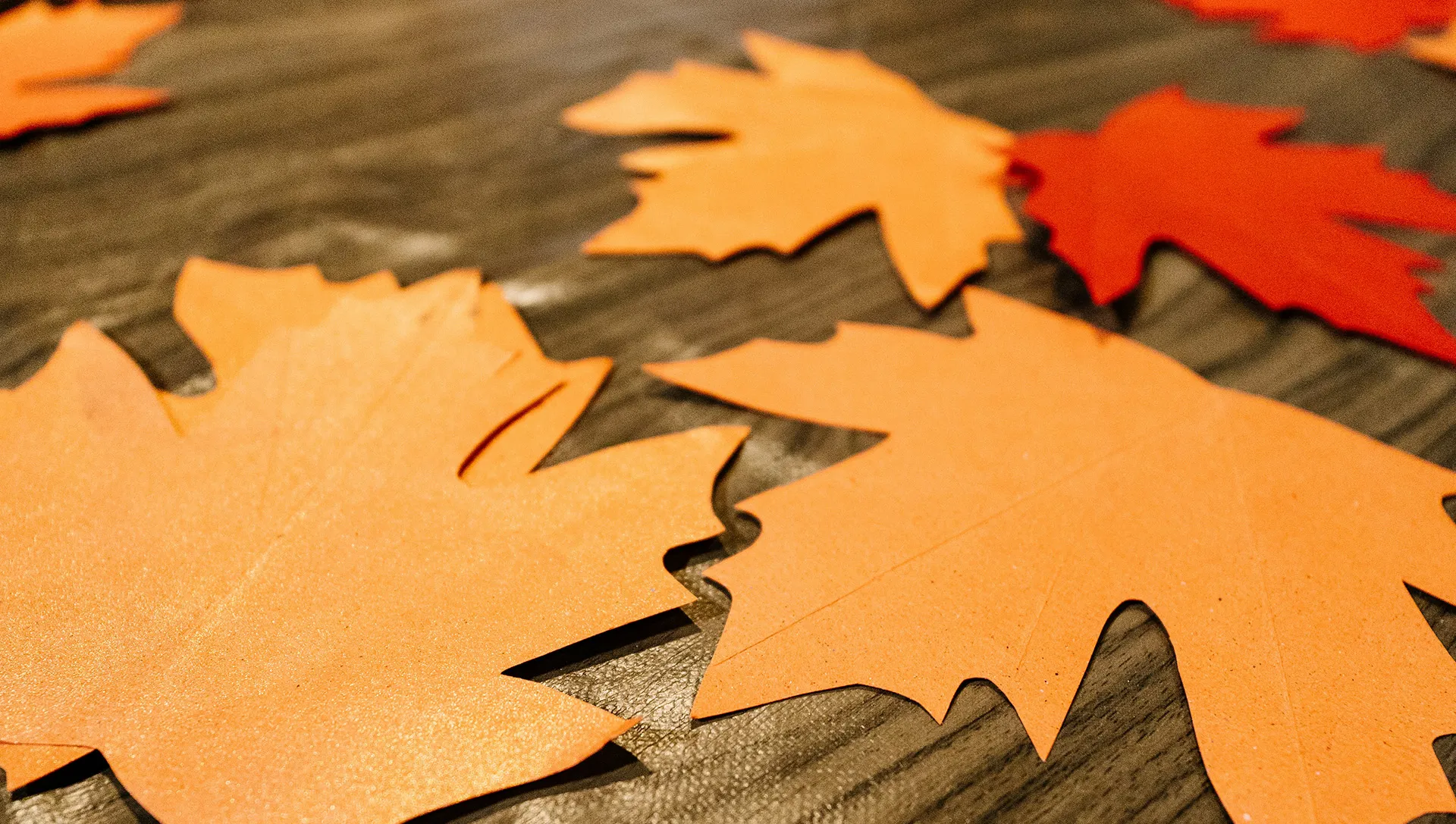 Paper maple leaves in autumn colors scattered on a dark wooden table.