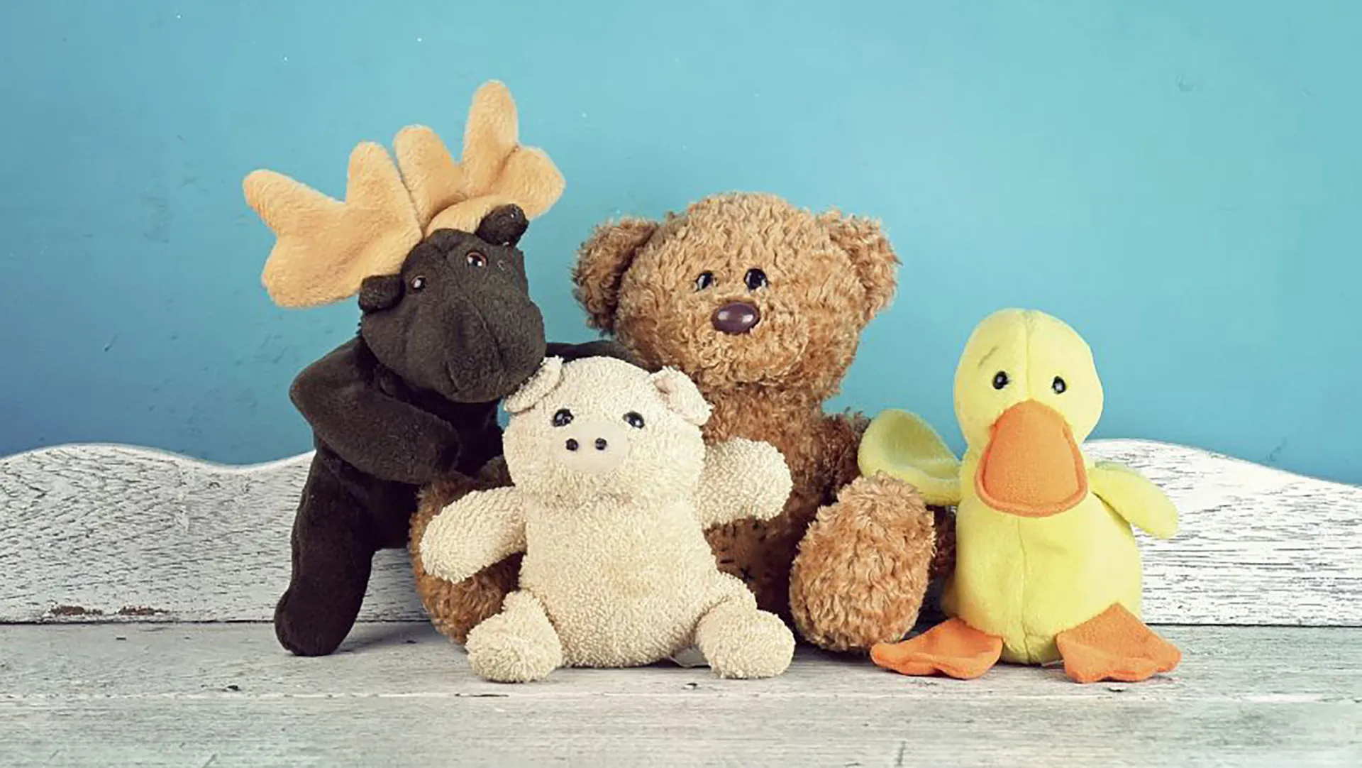Stuffed moose, pig, teddy bear, and duckling sitting in a row against a blue background.